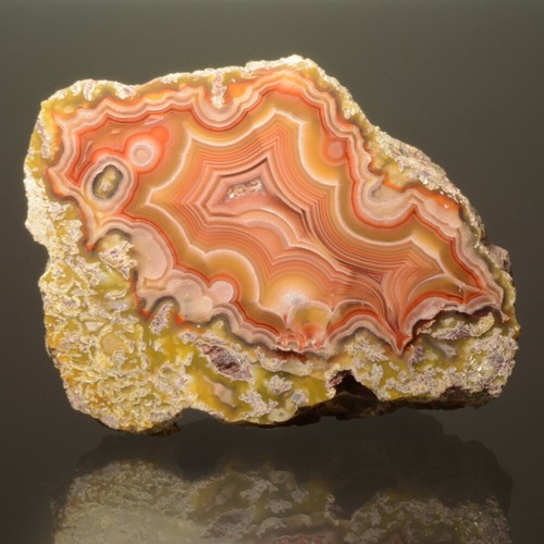 Laguna agate collector - laguna,