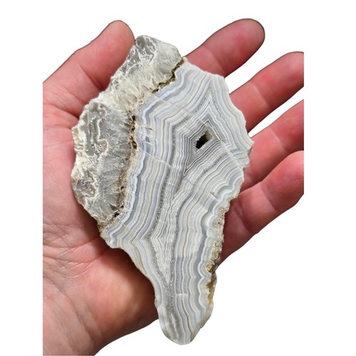 Laguna lace agate cut - lace, 9.3