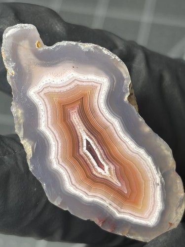 Laguna agate excellent banding - laguna,